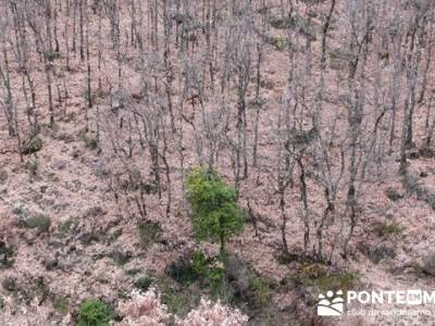 El Valle del Ambroz y la Judería de Hervás - Hervás PR-CC 36 La Chorrera;caminatas por madrid 